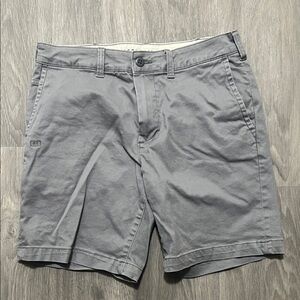 American Eagle Outfitters Gray Flat Front Men's Shorts
